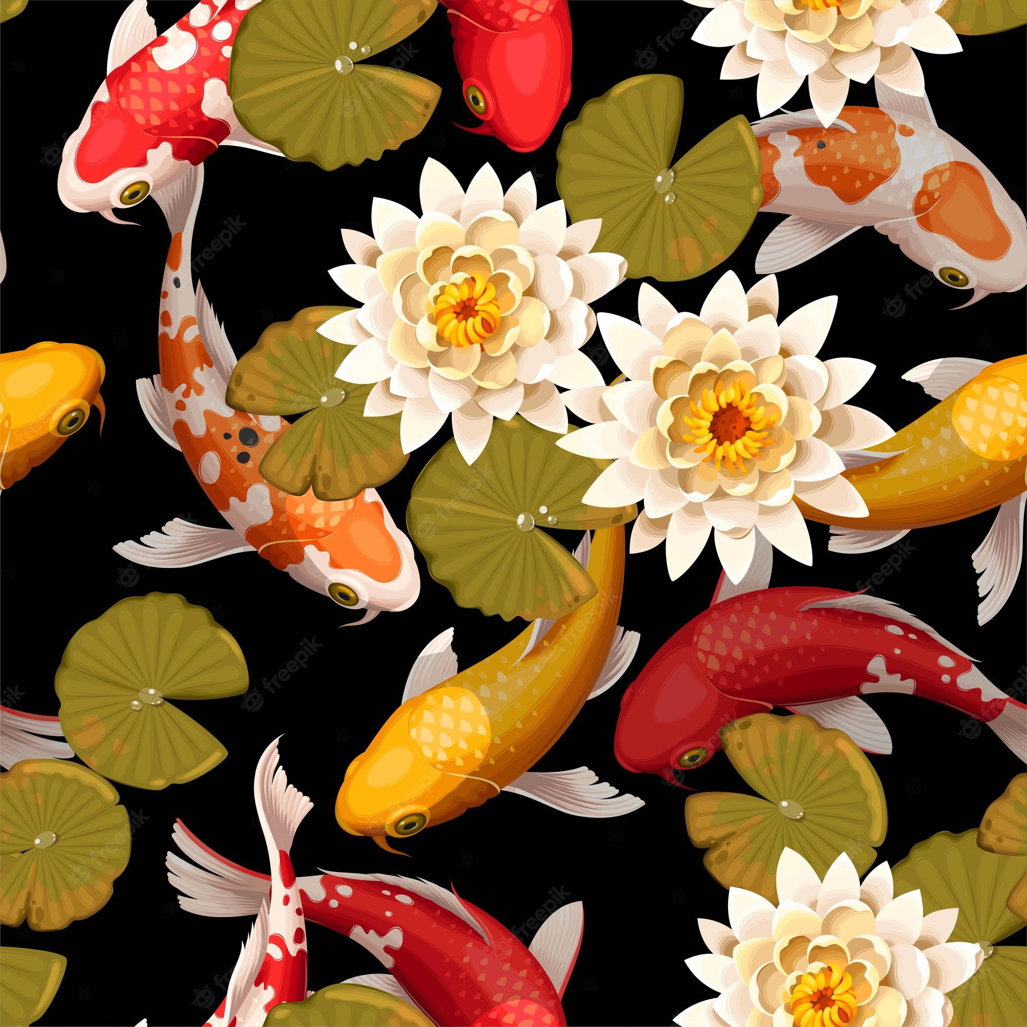 Koi Pond Background