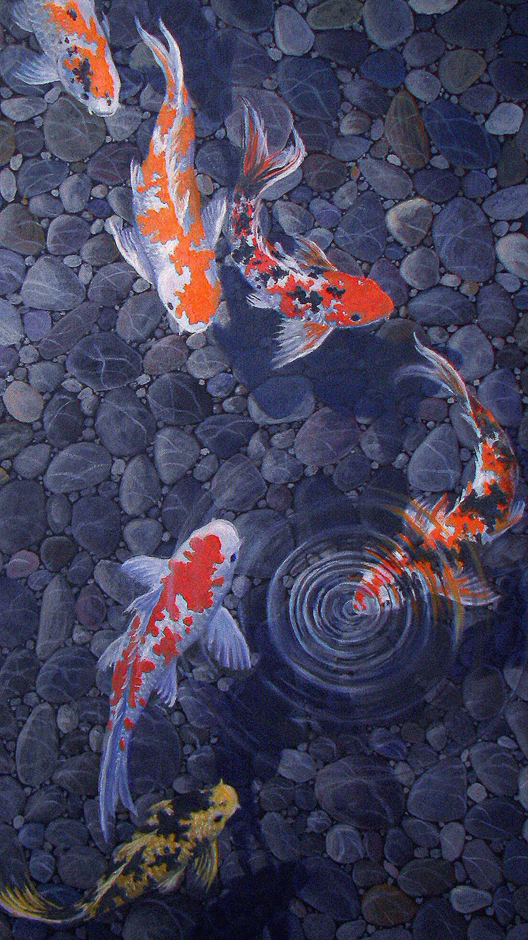 Koi Pond Background