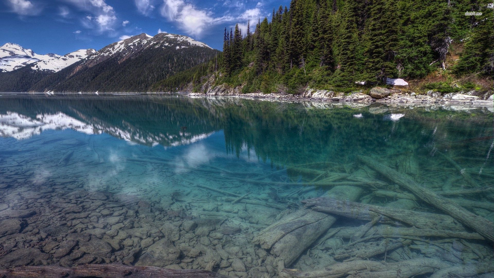 Lake Water Background