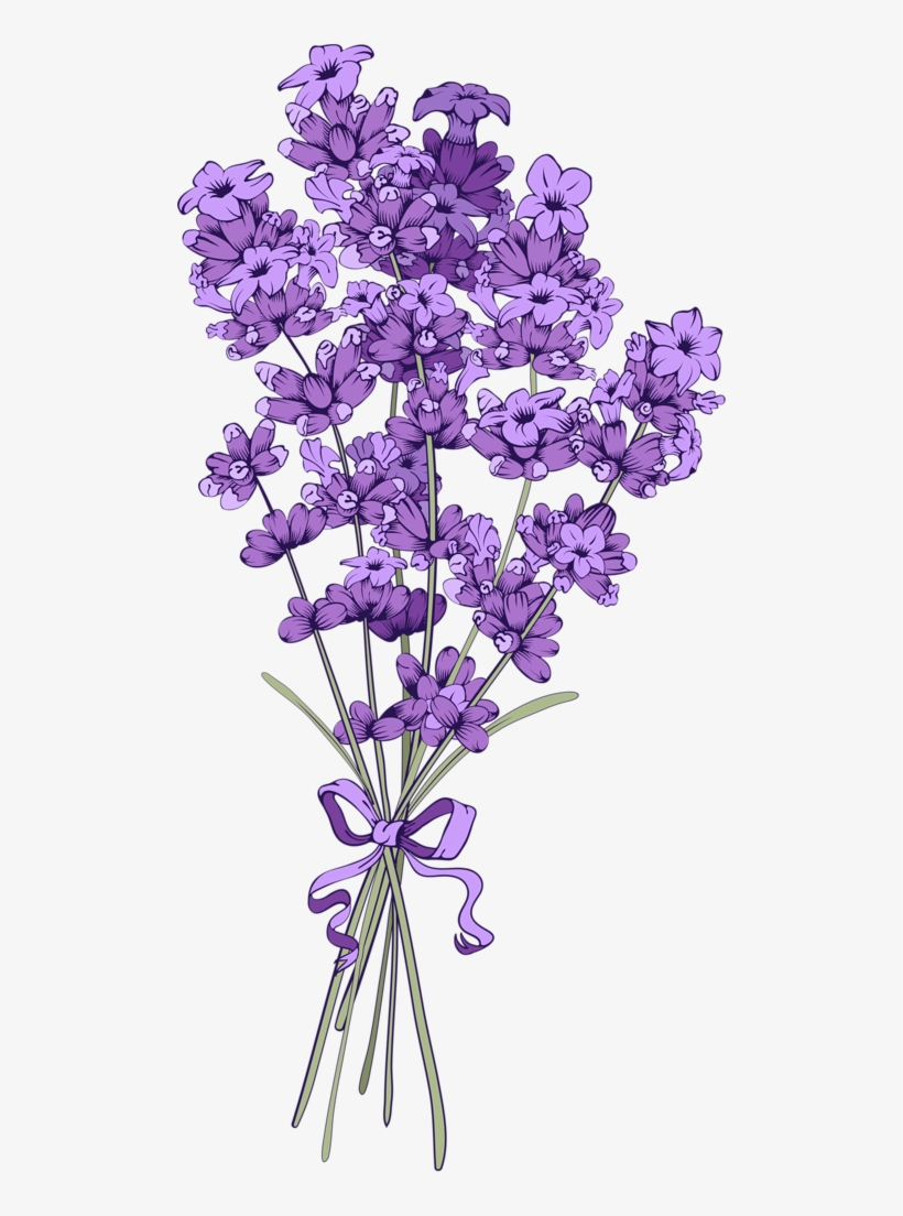 Lavender Flower Backgrounds