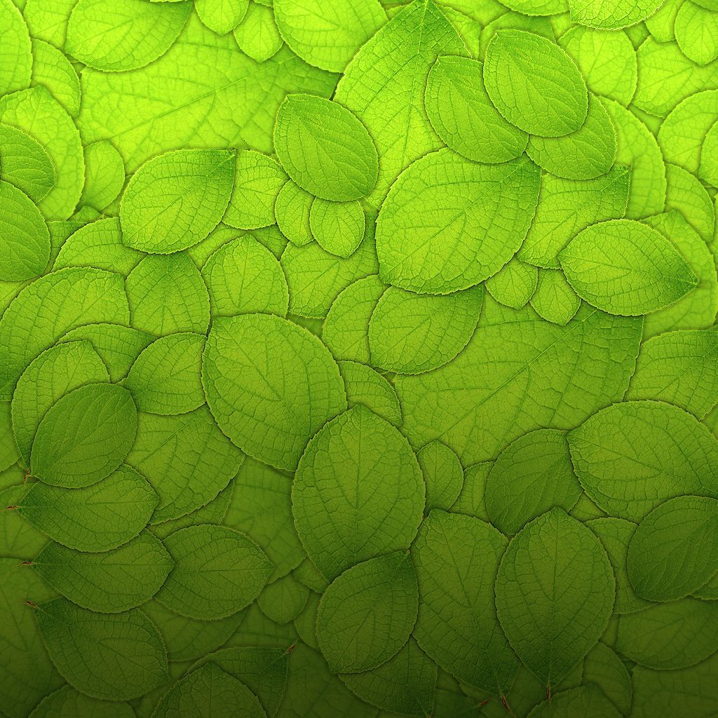 Leaf Texture Background