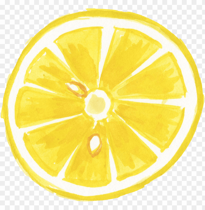 Lemon Watercolor Background