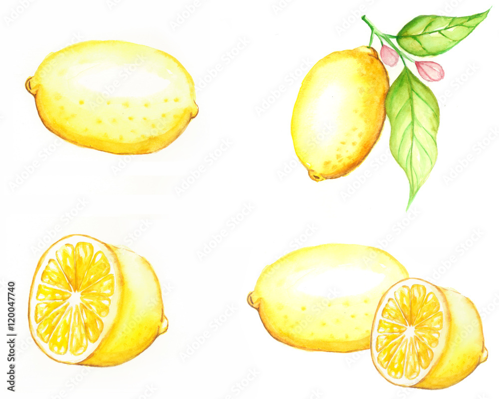 Lemon Watercolor Background