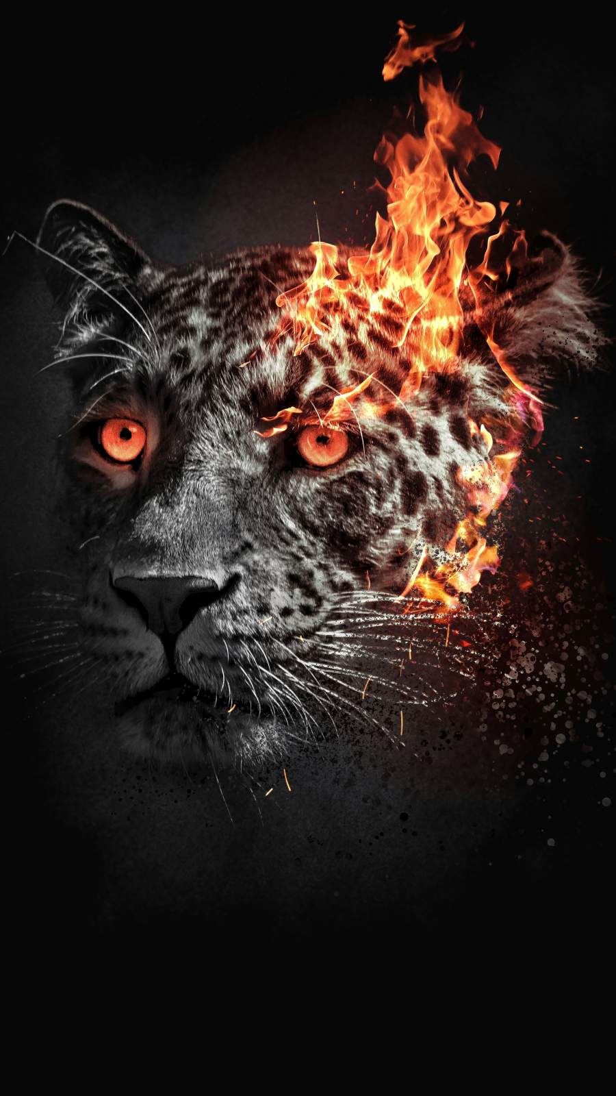 Leopard Background Iphone