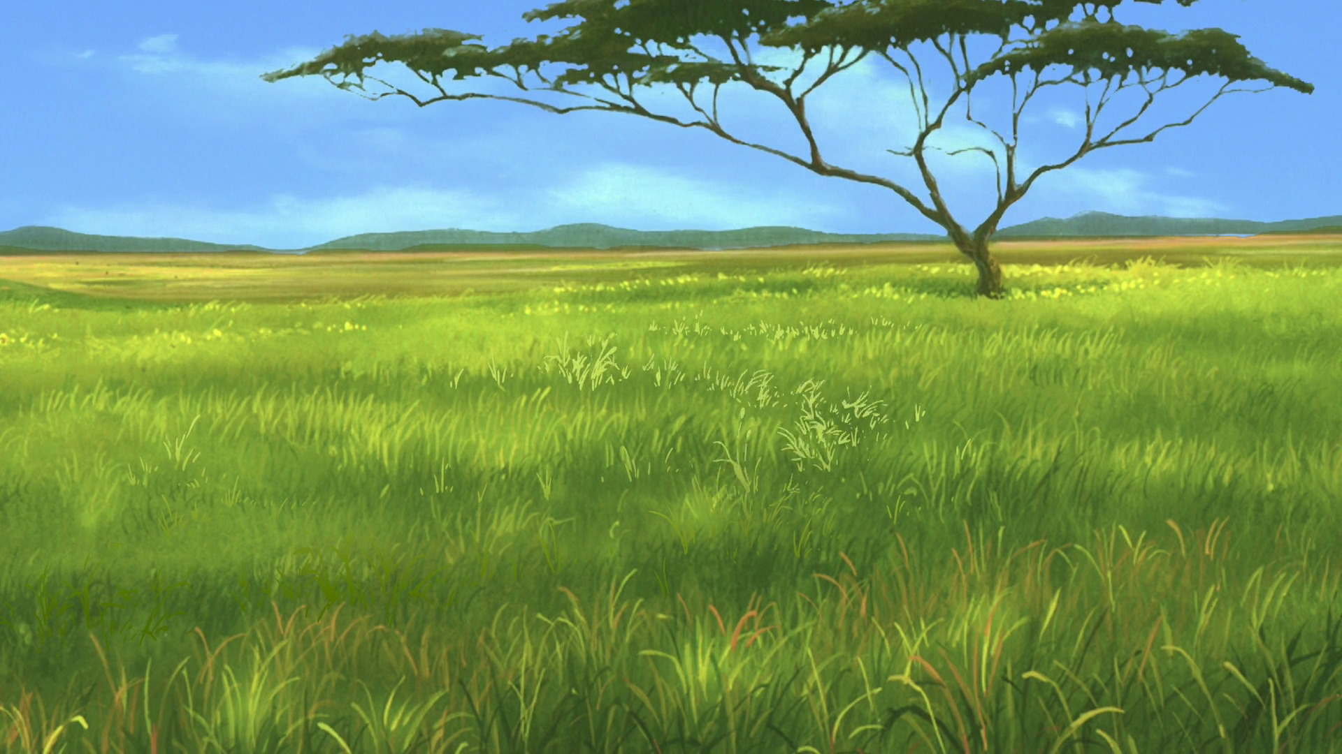 Lion Guard Background