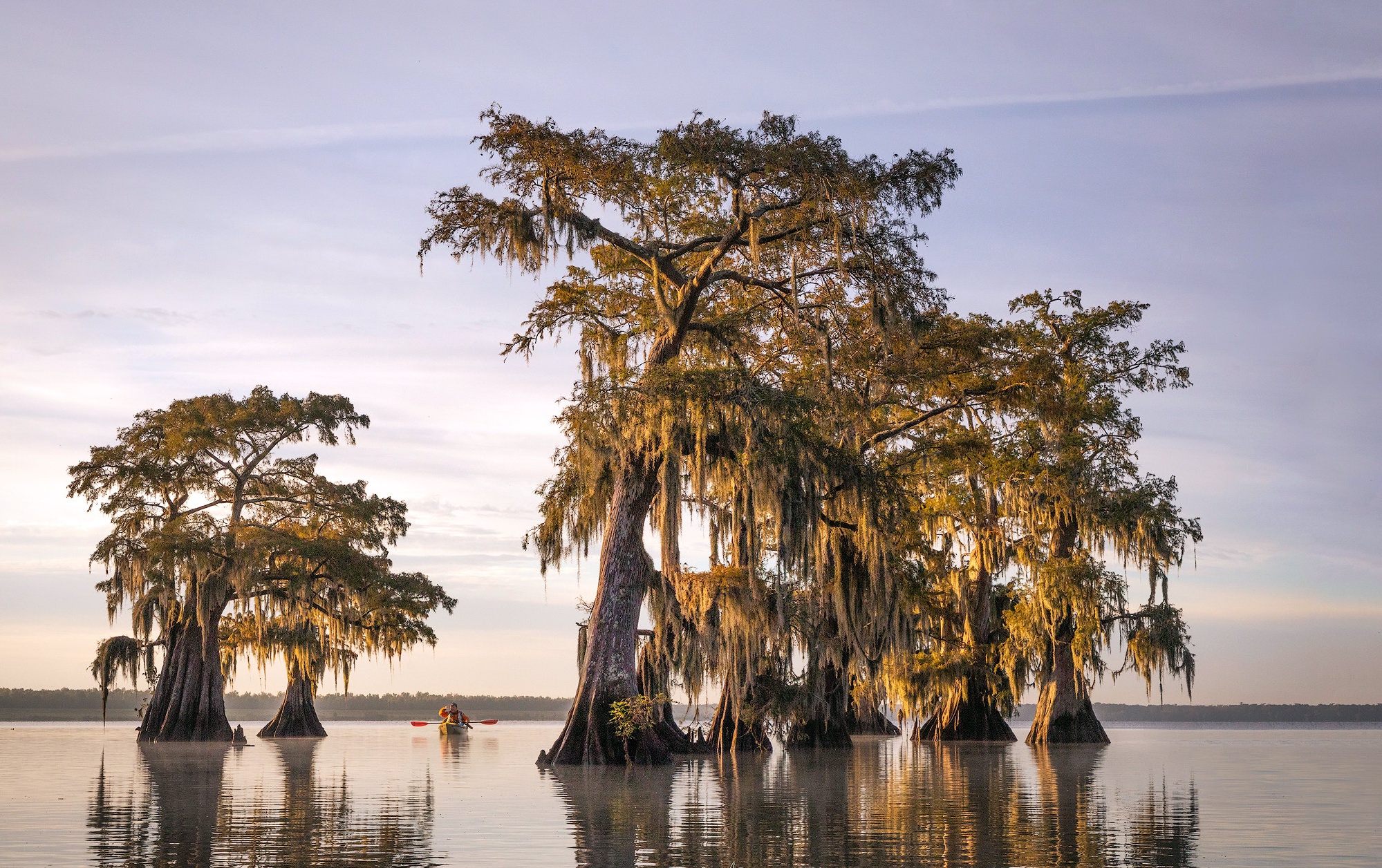 Louisiana Backgrounds