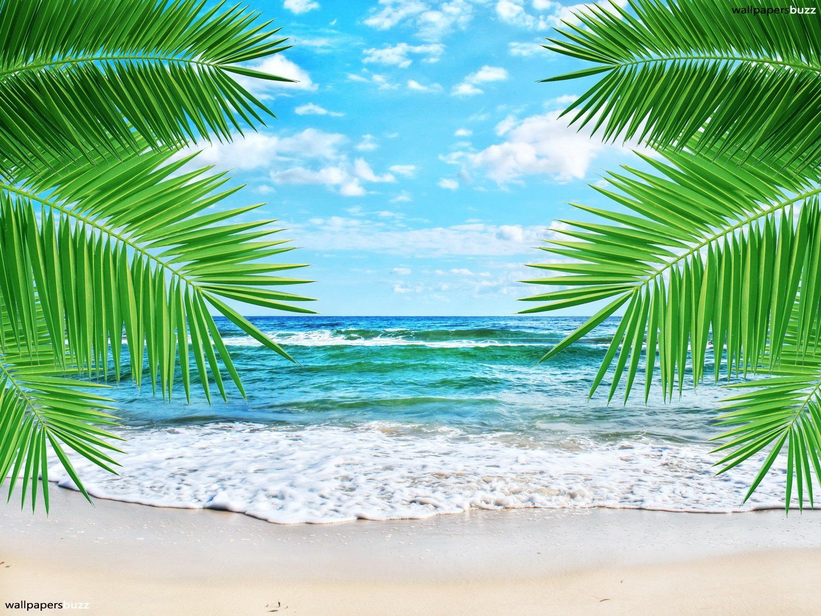 Luau Beach Background