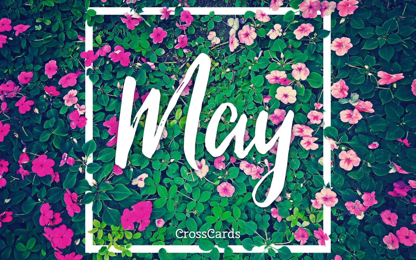 May Backgrounds