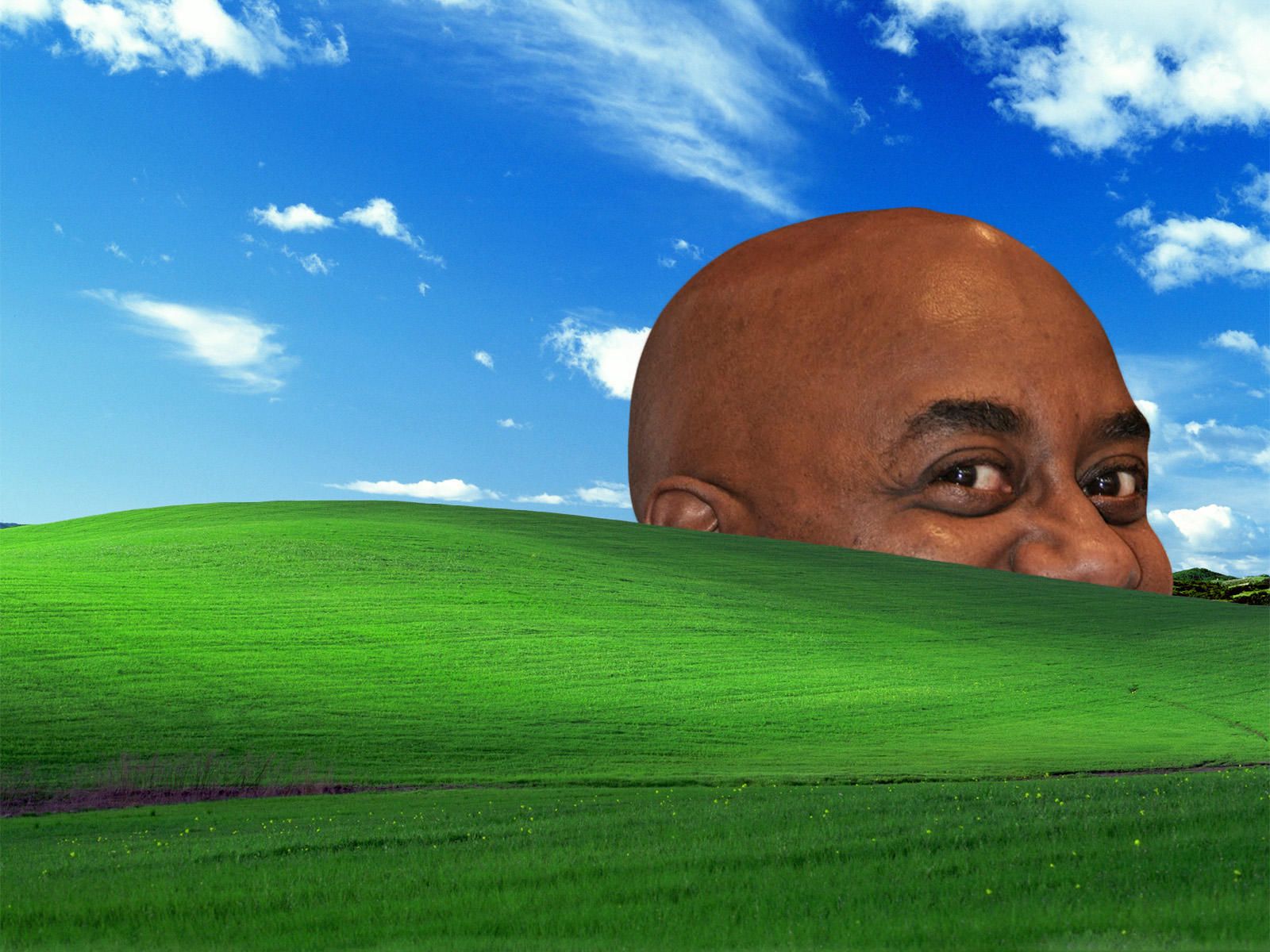 Meme Desktop Background