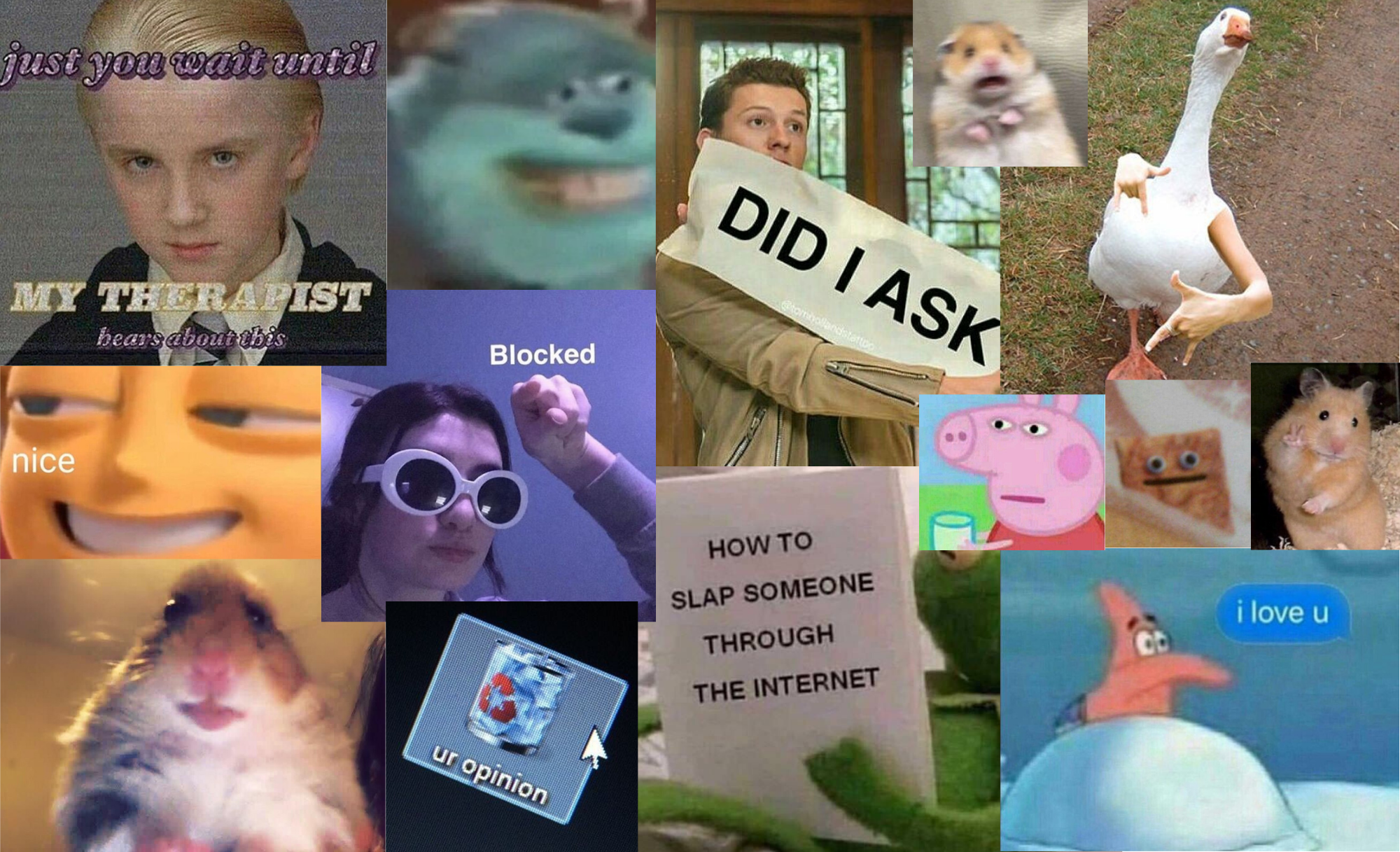 Meme Desktop Background