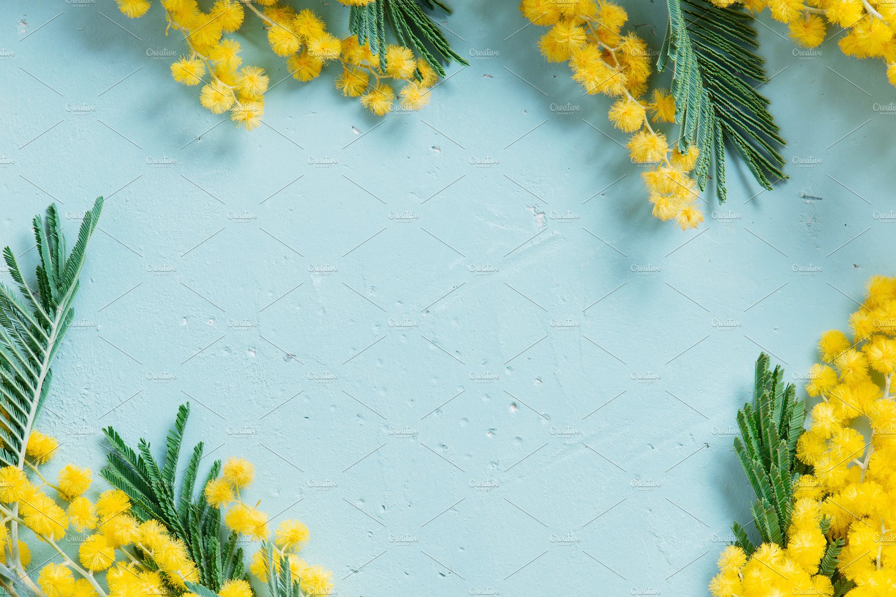 Mimosa Background