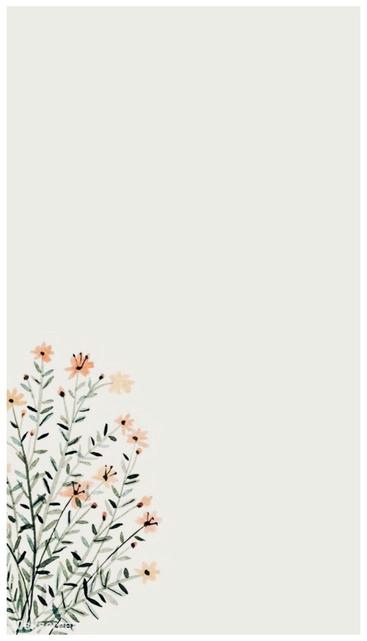 Minimalist Aesthetic Pastel Background Solid