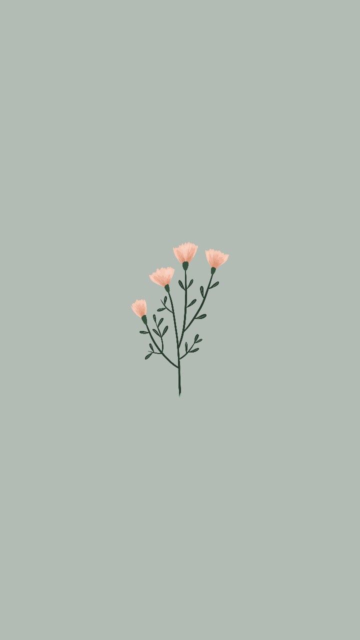 Minimalist Aesthetic Pastel Background Solid