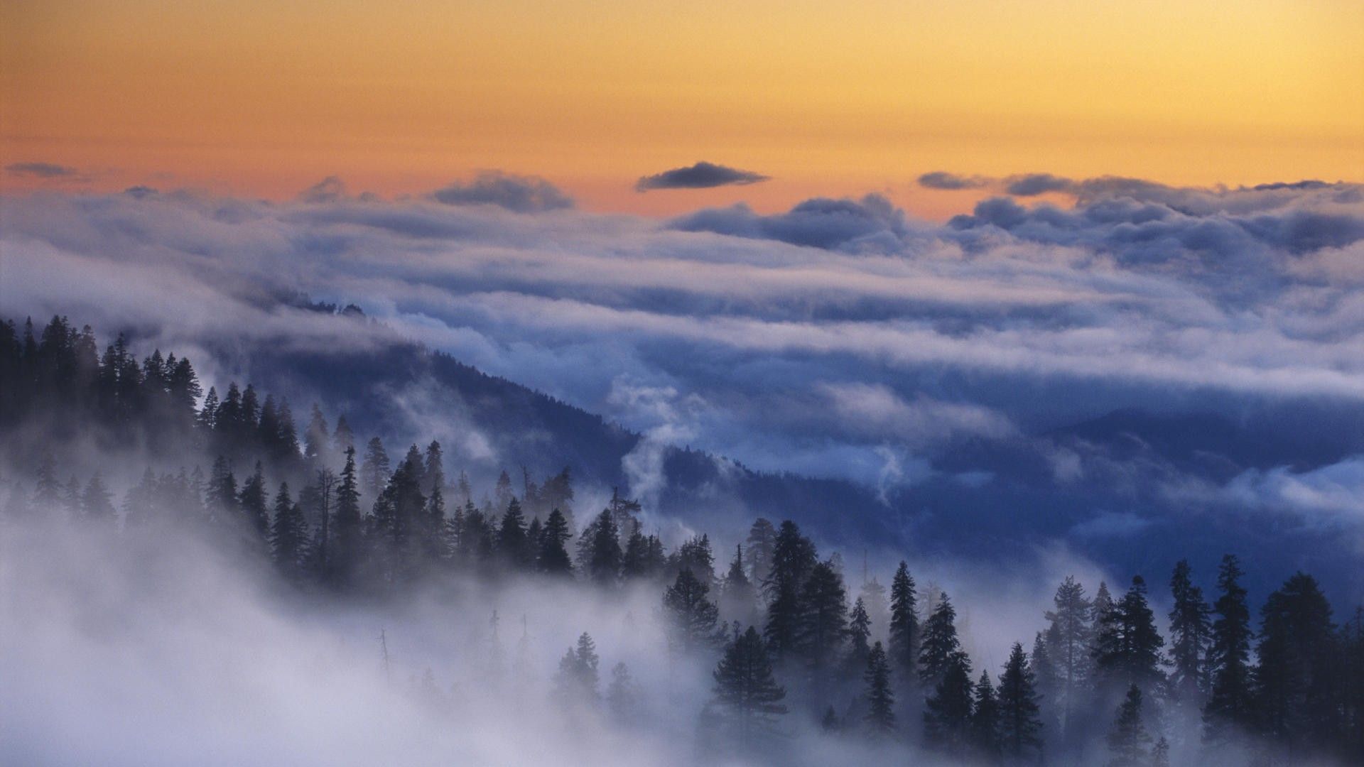 Misty Mountain Background