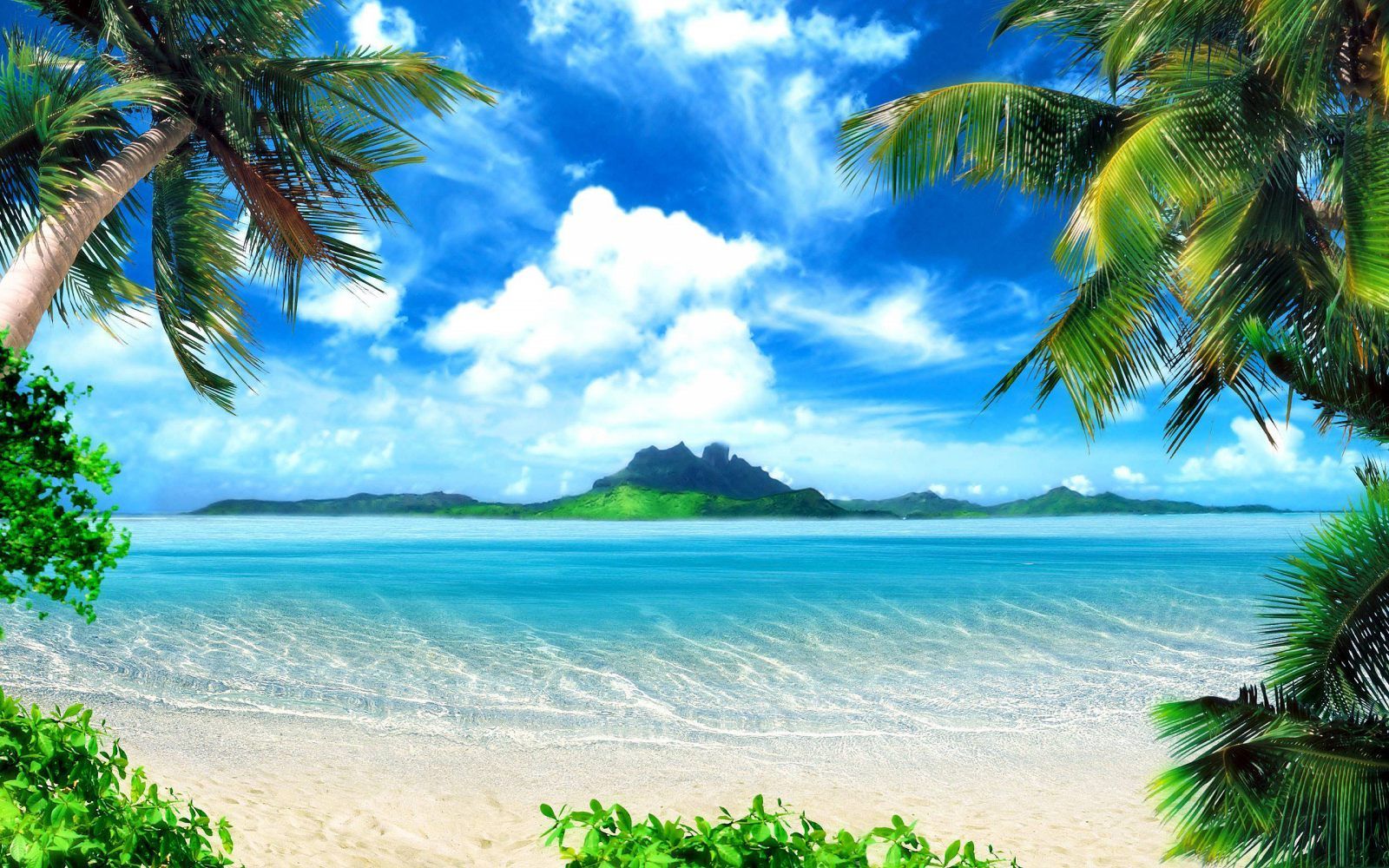 Moana Beach Background