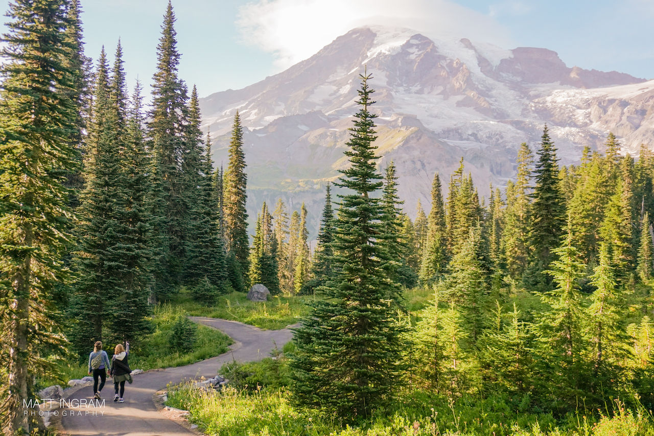 Mount Rainier Zoom Background