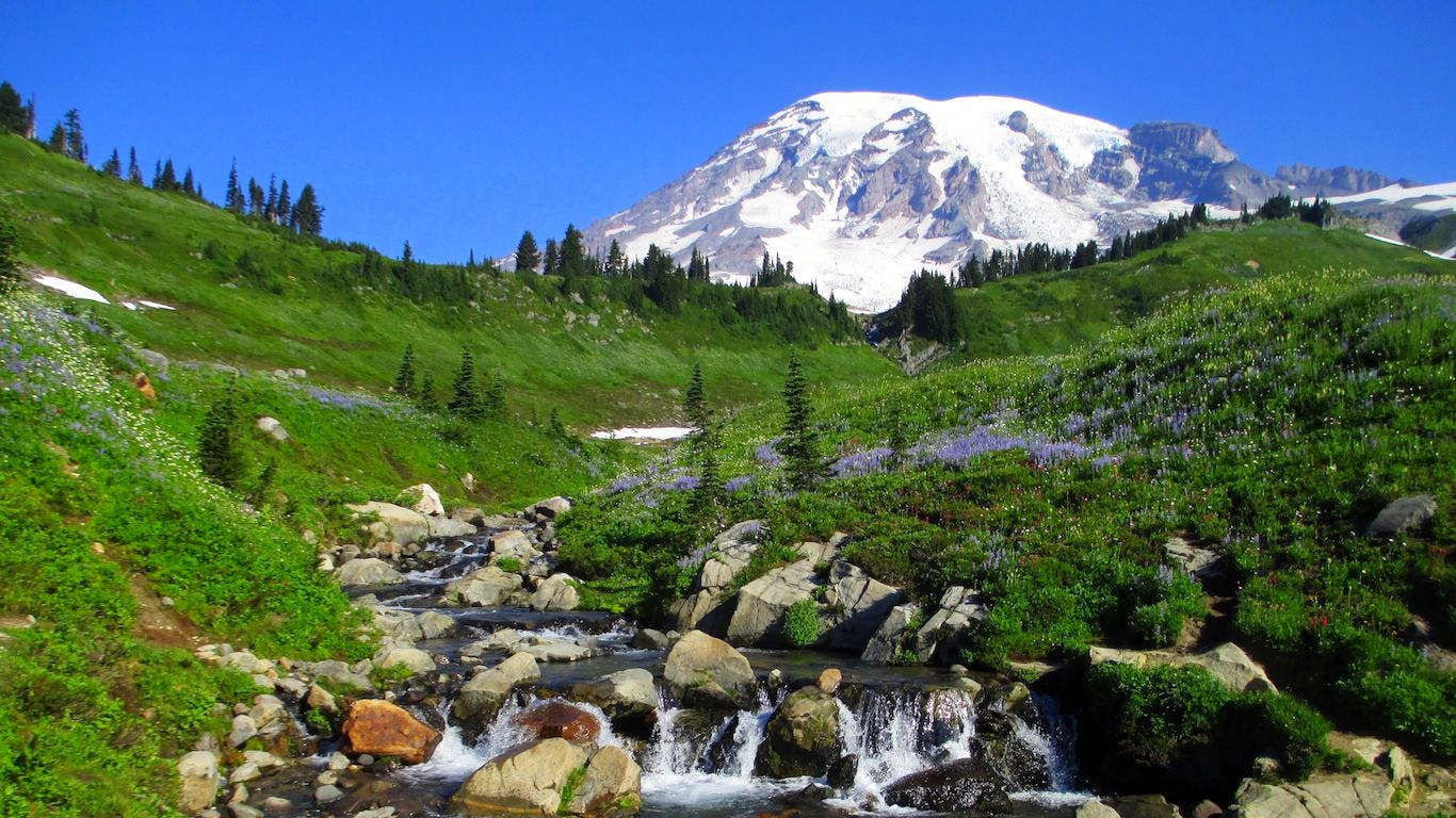 Mount Rainier Zoom Background