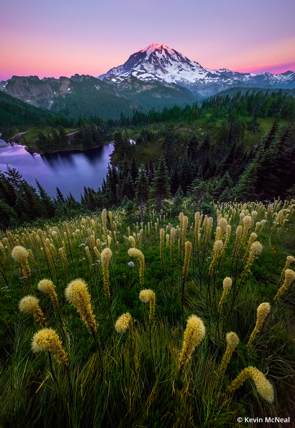 Mount Rainier Zoom Background