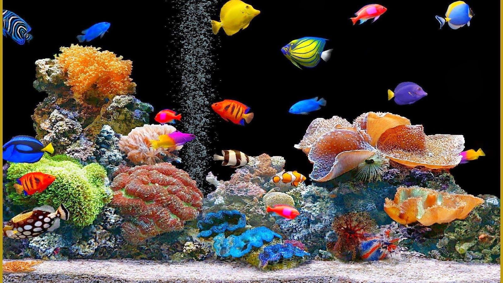 Moving Fish Background