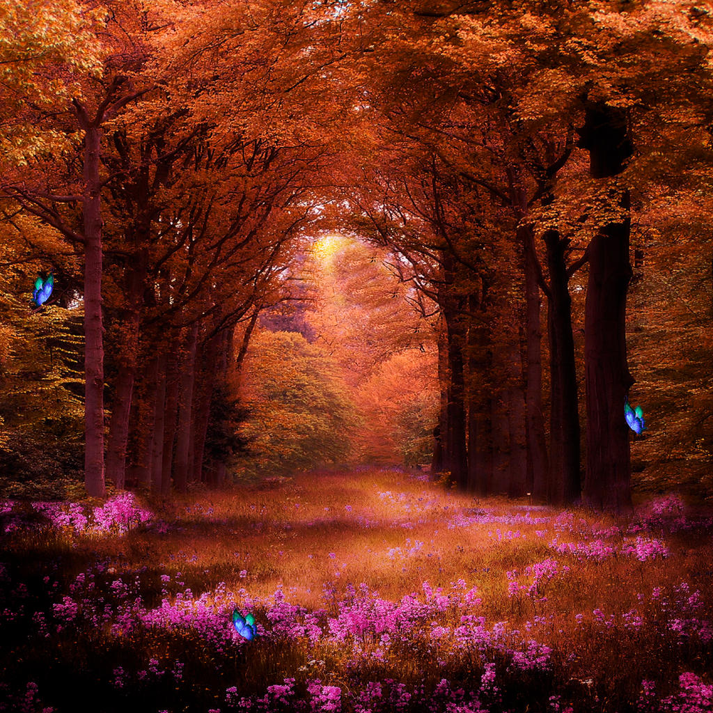 Mystical Forest Background