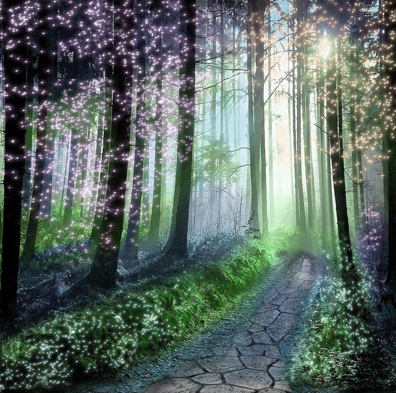 Mystical Forest Background