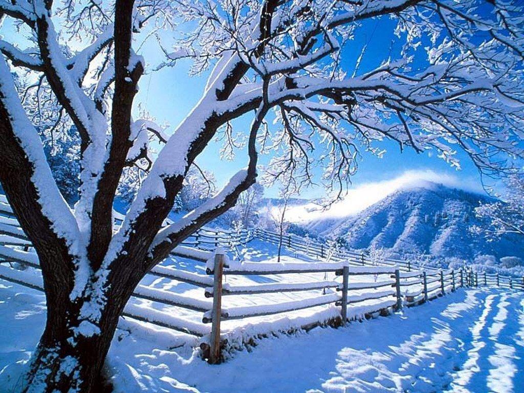 Nature Background Winter