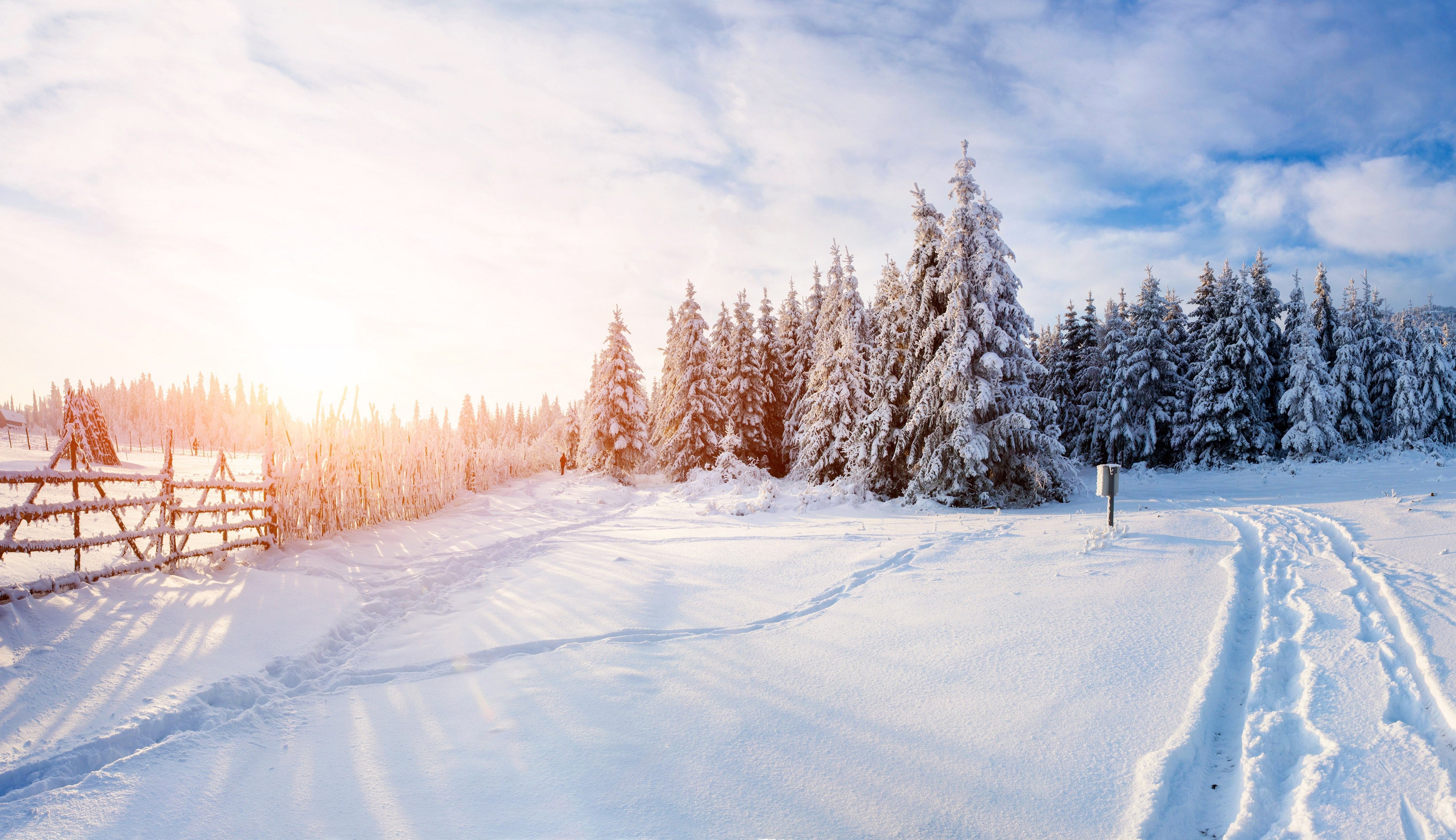 Nature Background Winter