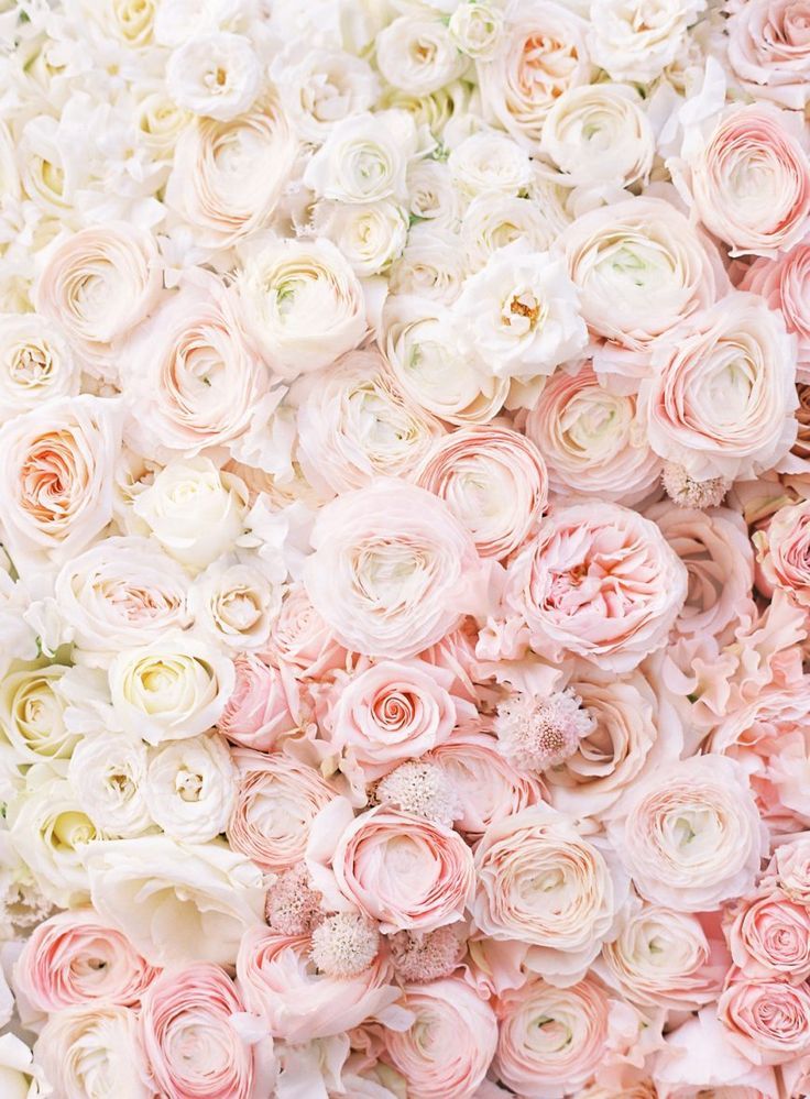 Neutral Flower Background