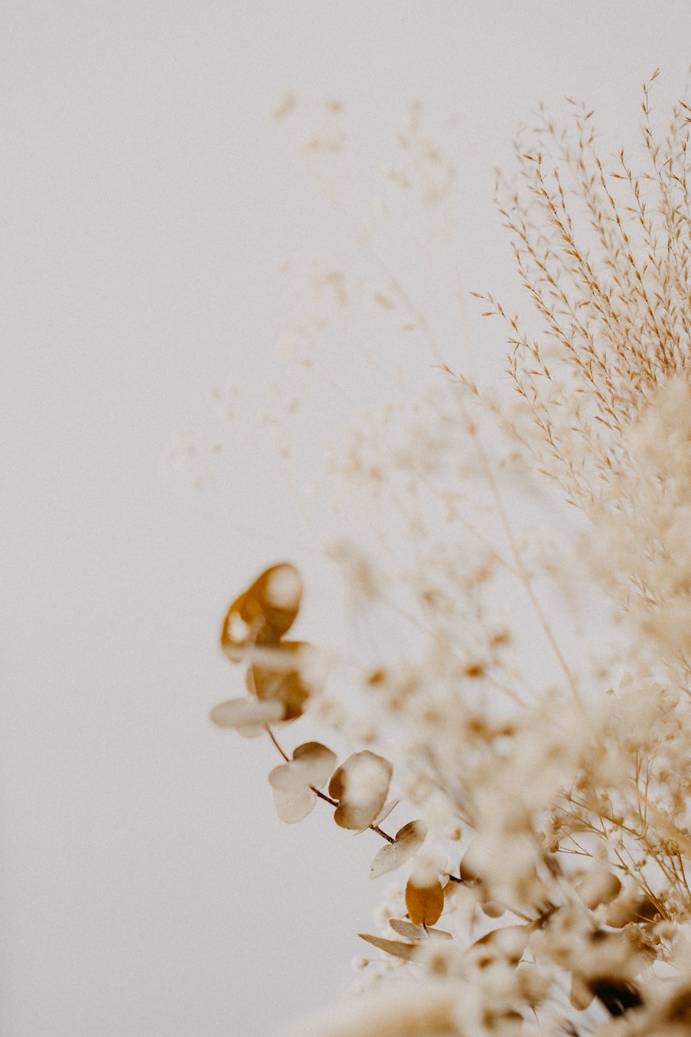 Neutral Flower Background