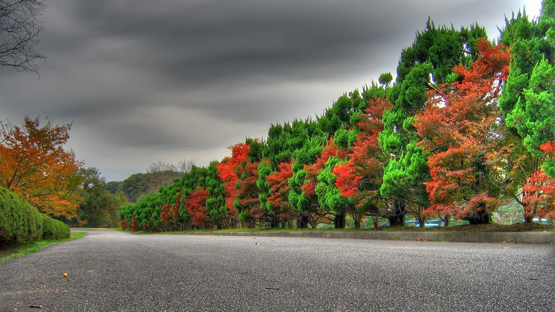 Open Road Background