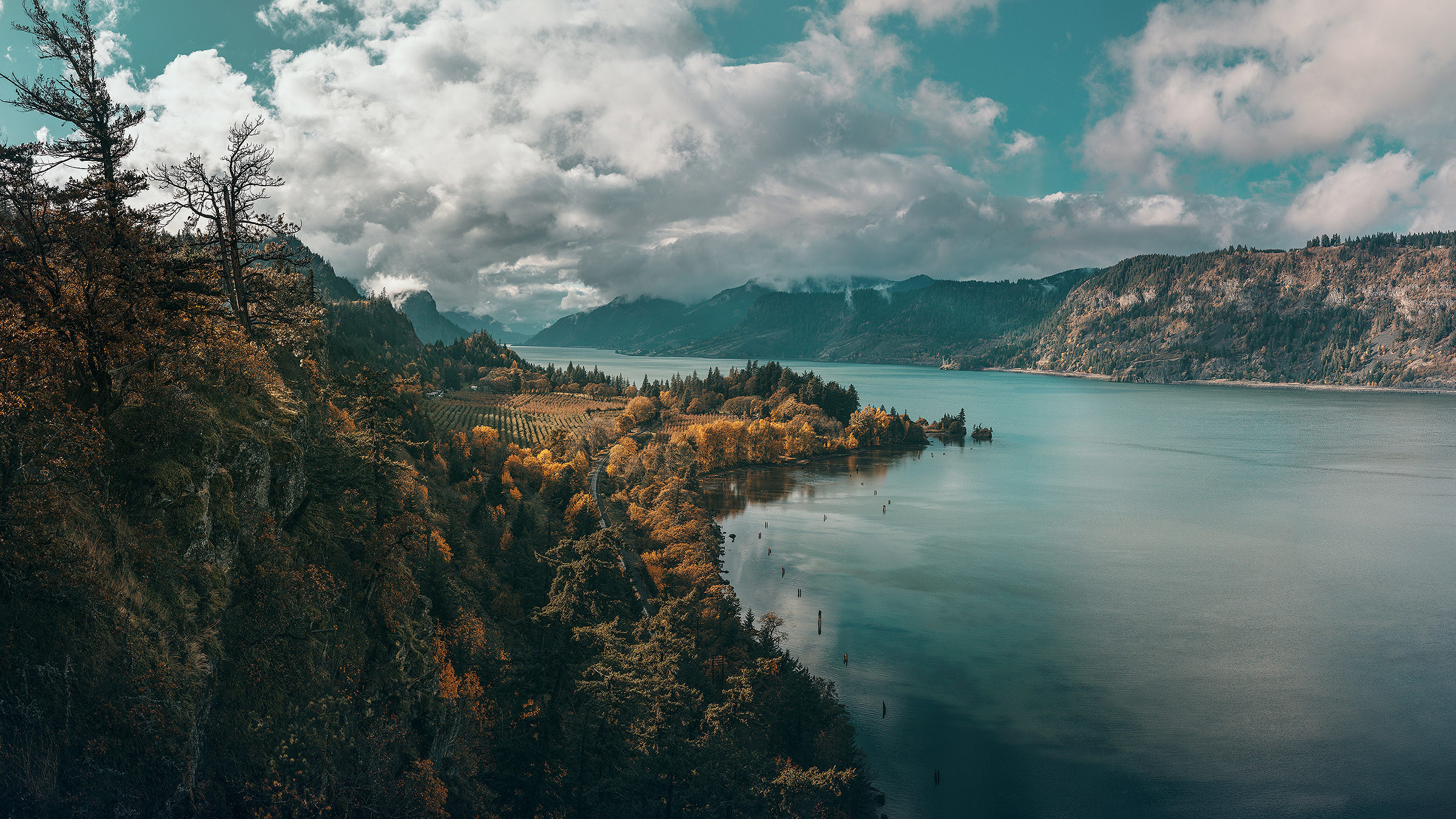 Pacific Northwest Background