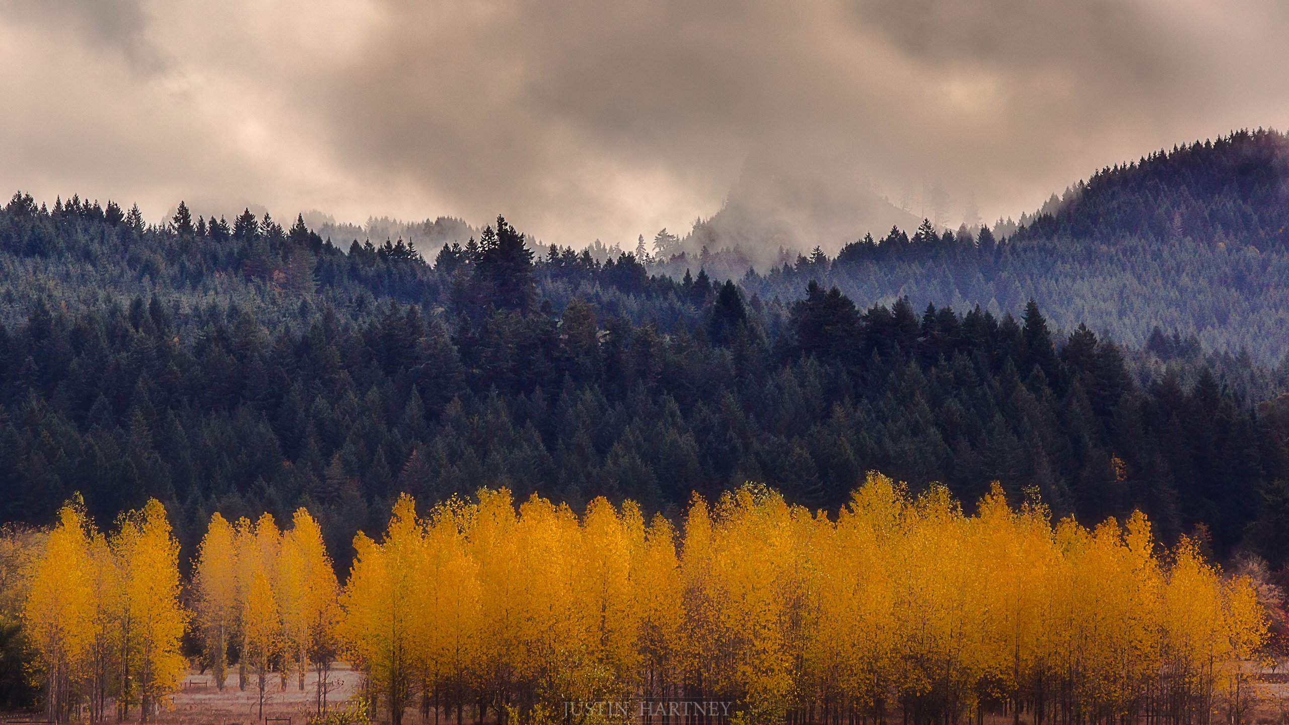 Pacific Northwest Background