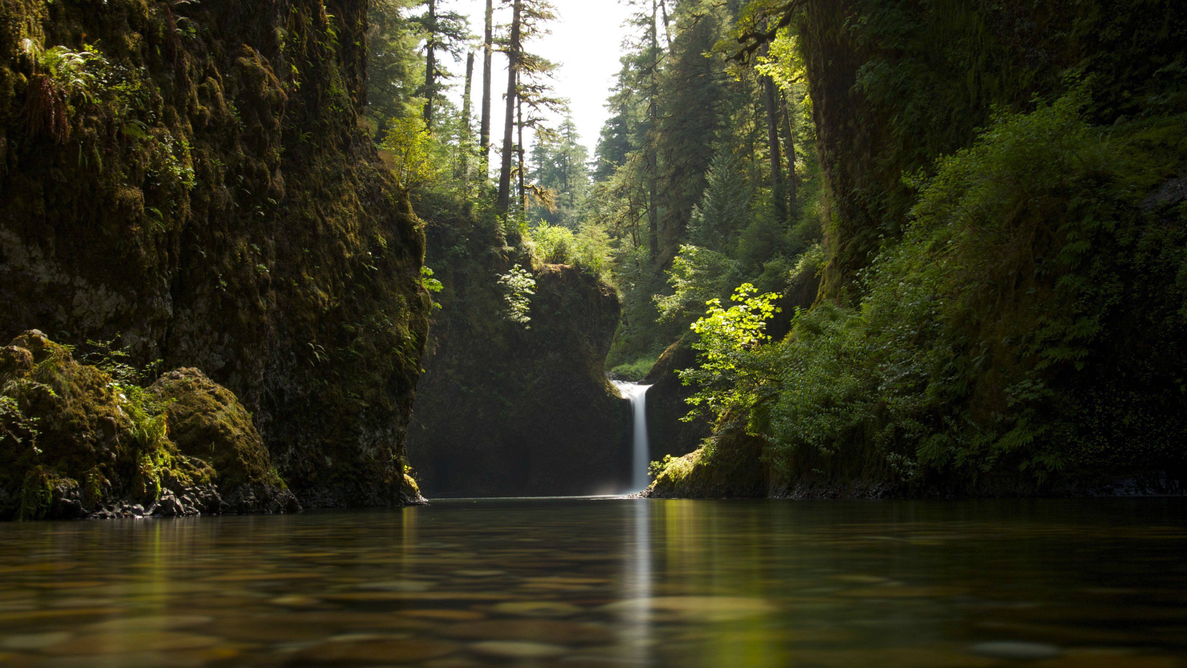 Pacific Northwest Background