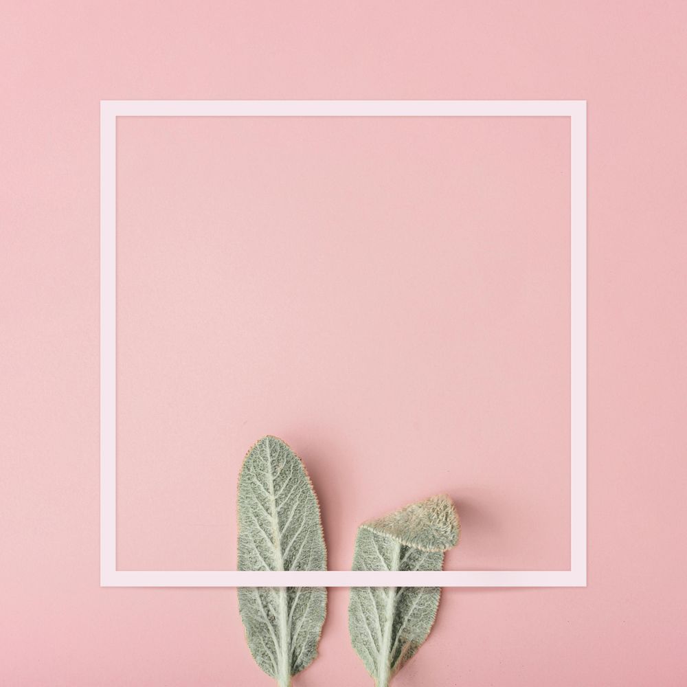 Pastel Pink Background