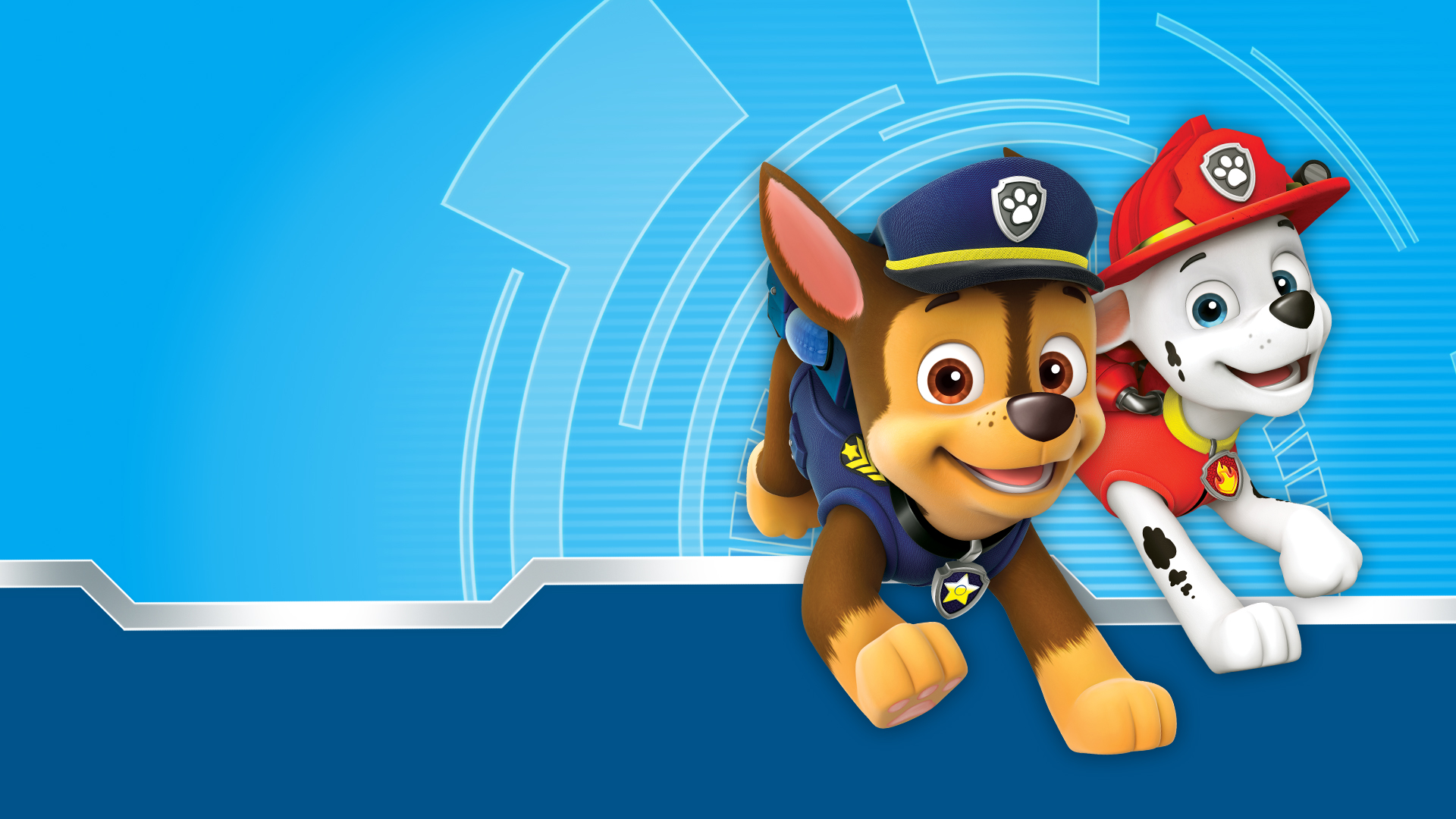 Paw Patrol Background