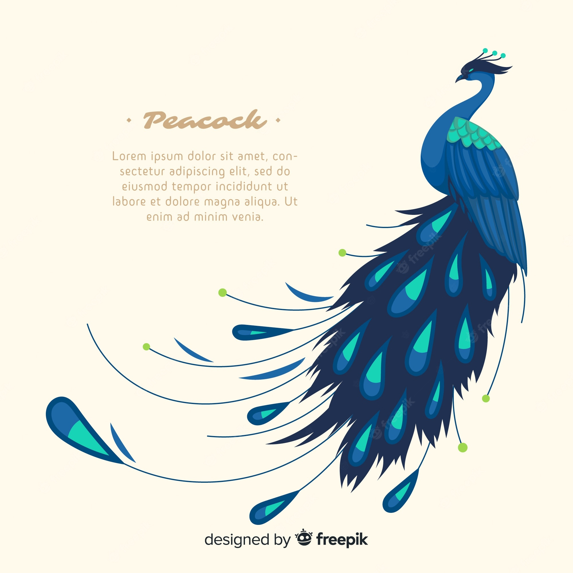 Peacock Backgrounds