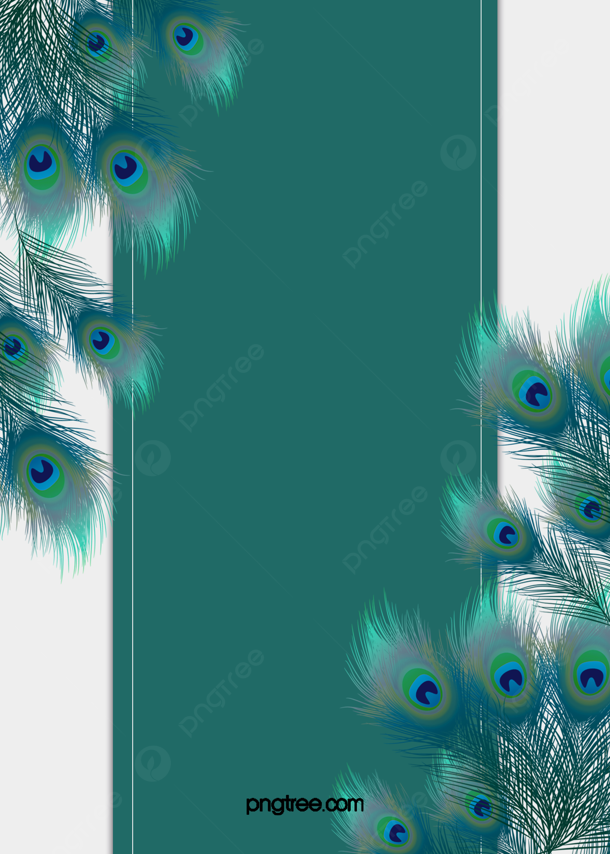 Peacock Backgrounds