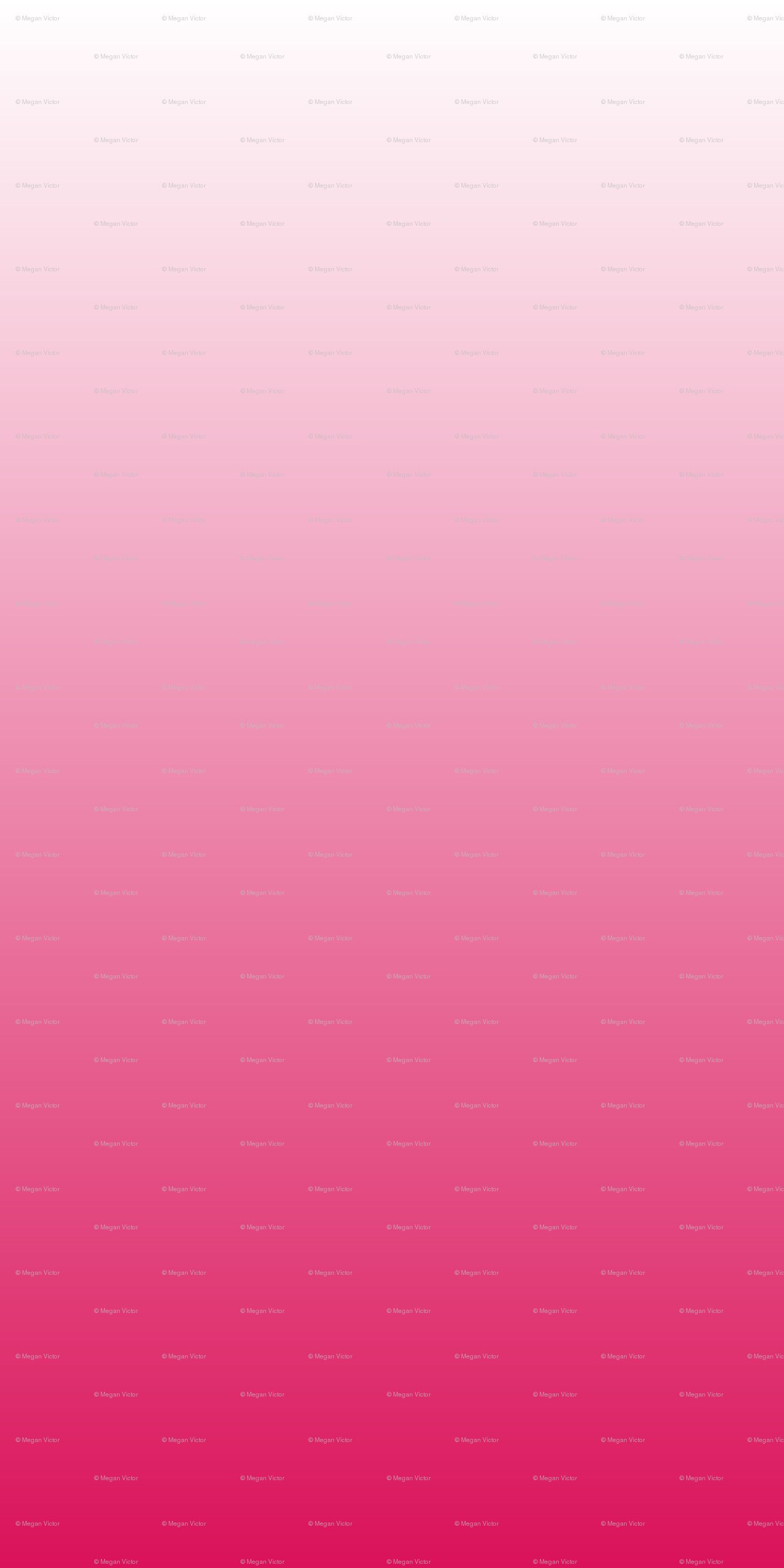 Pink Ombre Background