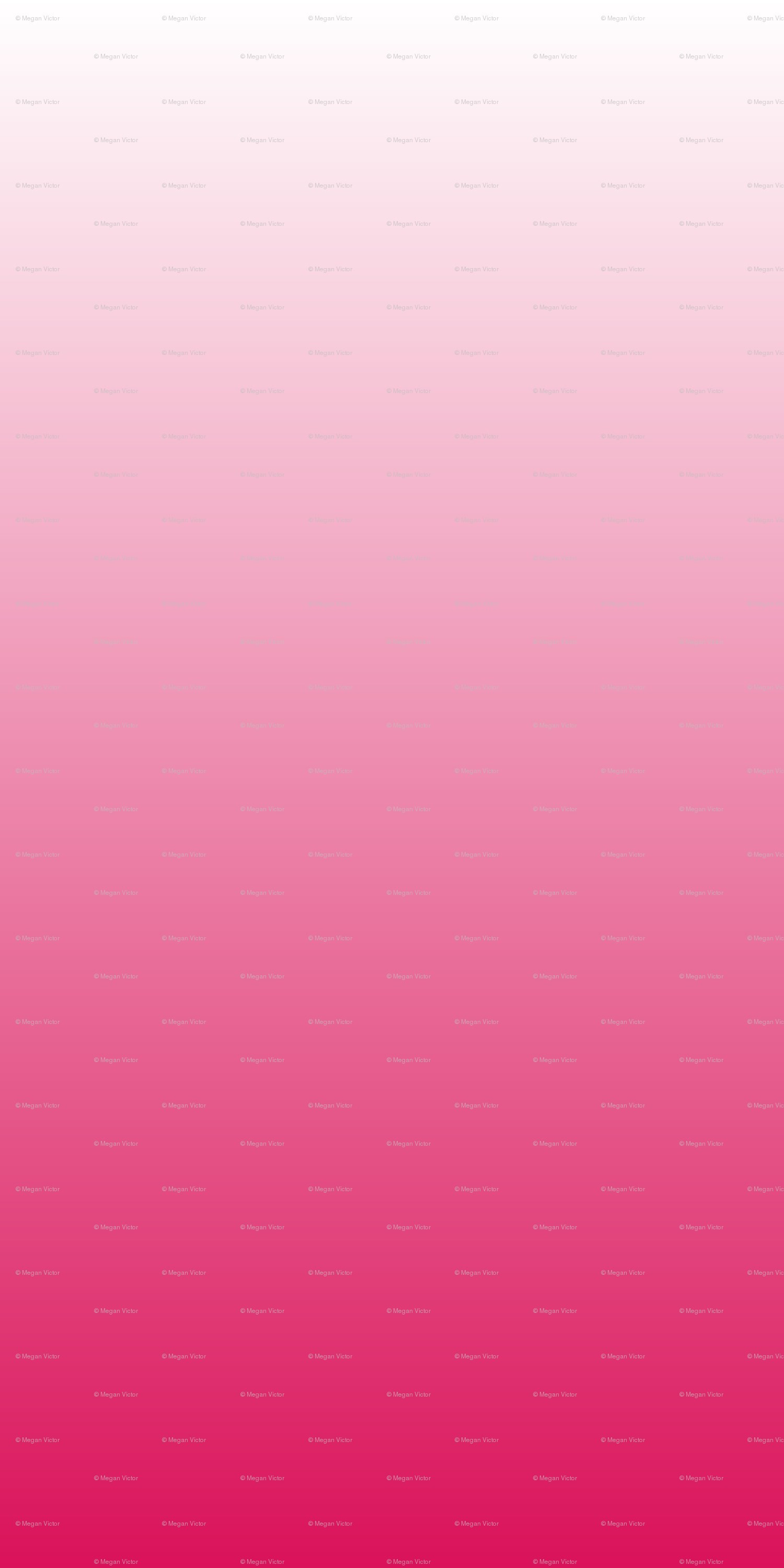 Pink Ombre Background