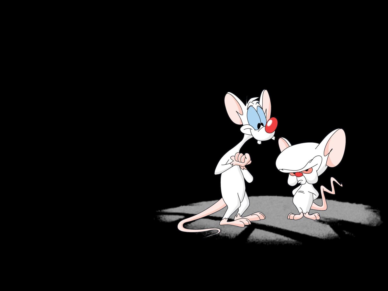 Pinky And The Brain Background