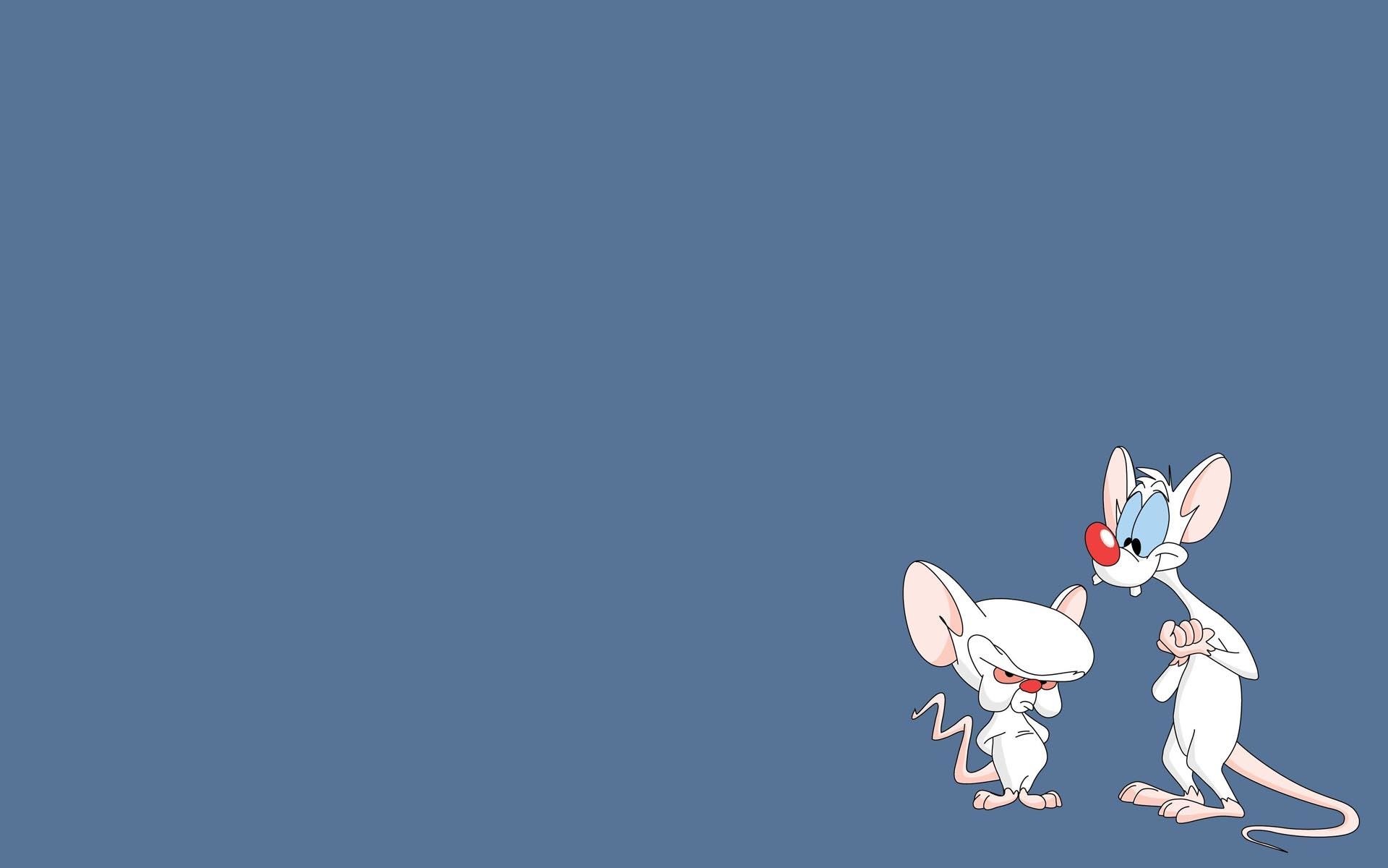 Pinky And The Brain Background