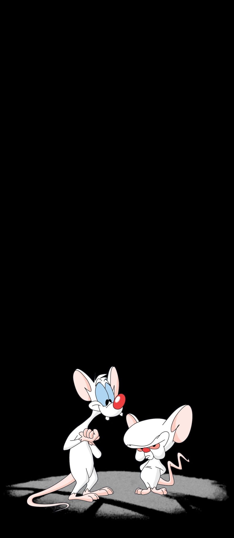 Pinky And The Brain Background