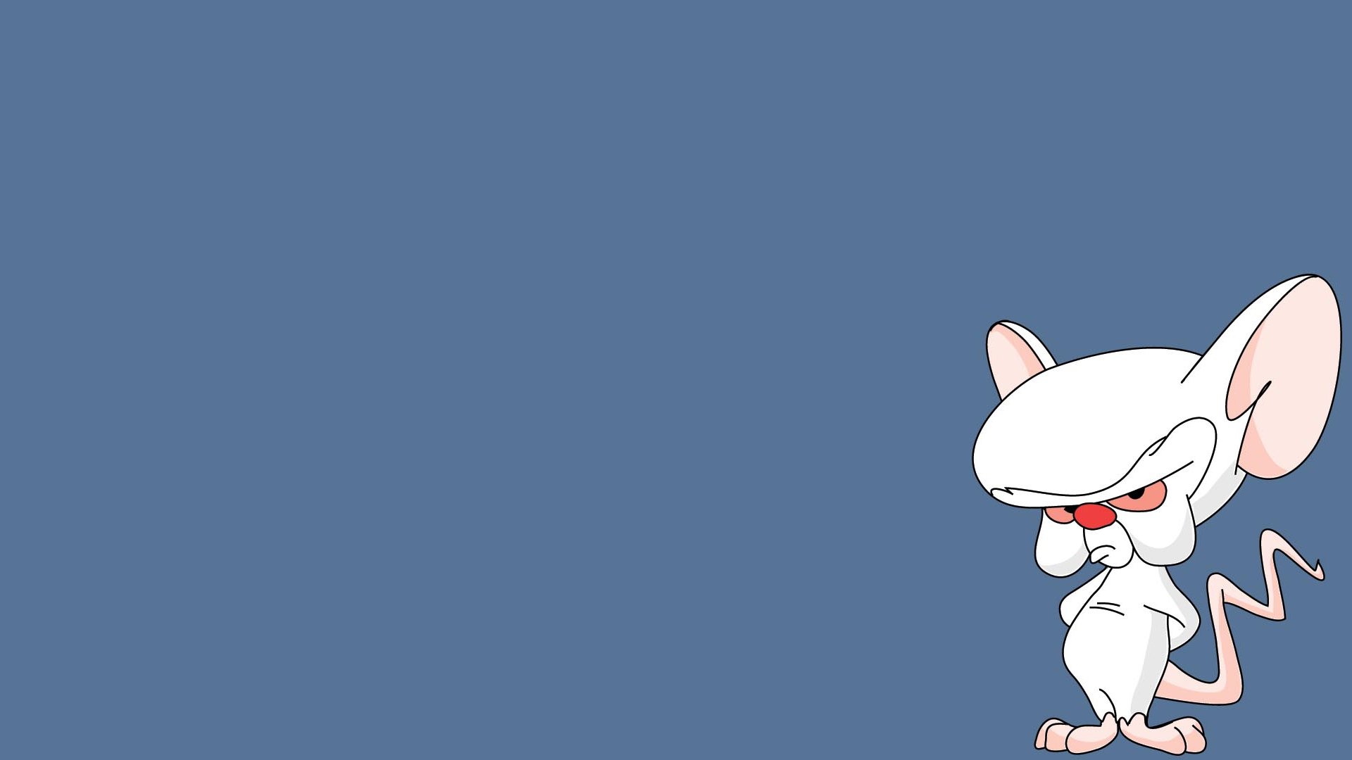 Pinky And The Brain Background