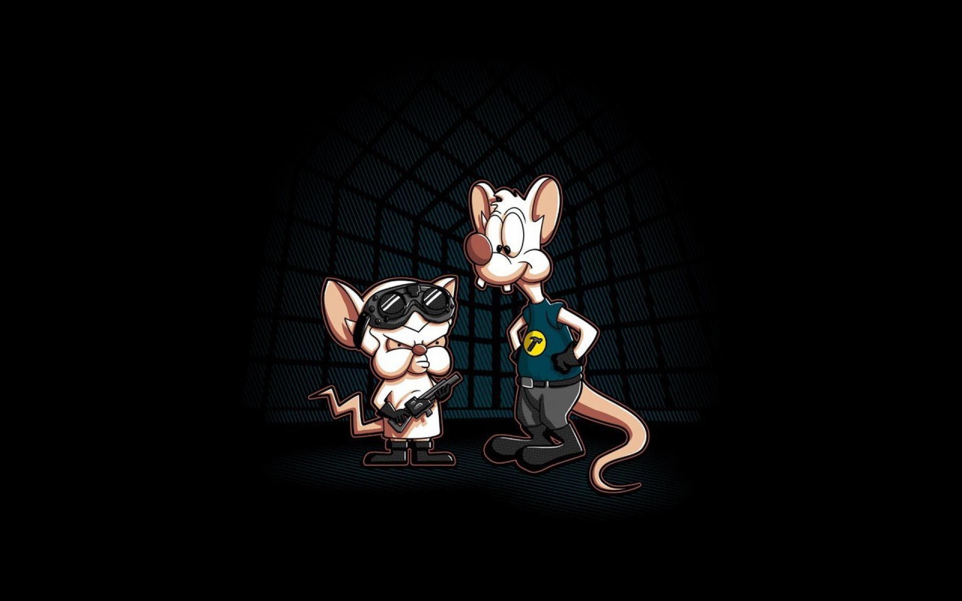 Pinky And The Brain Background