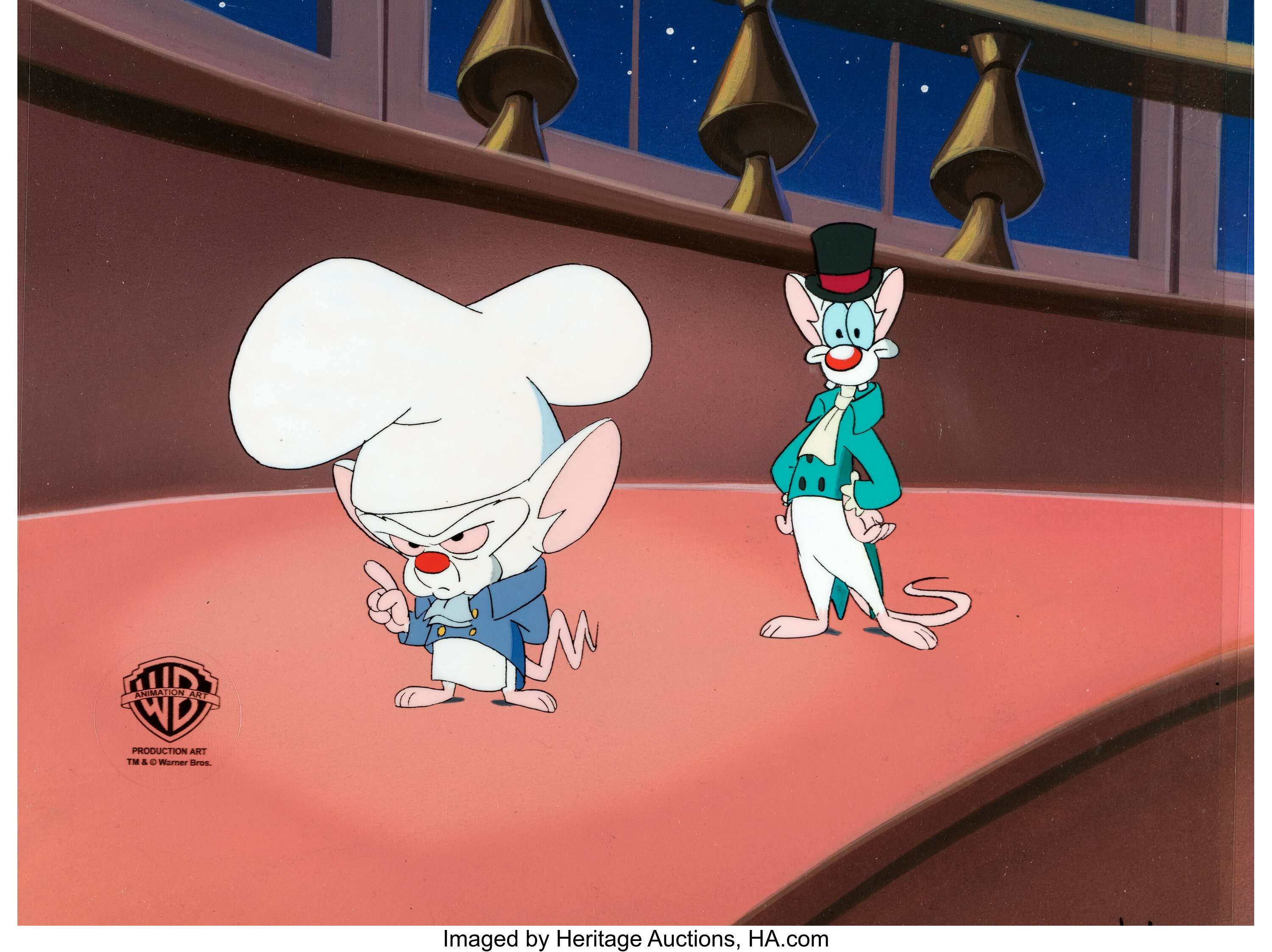 Pinky And The Brain Background