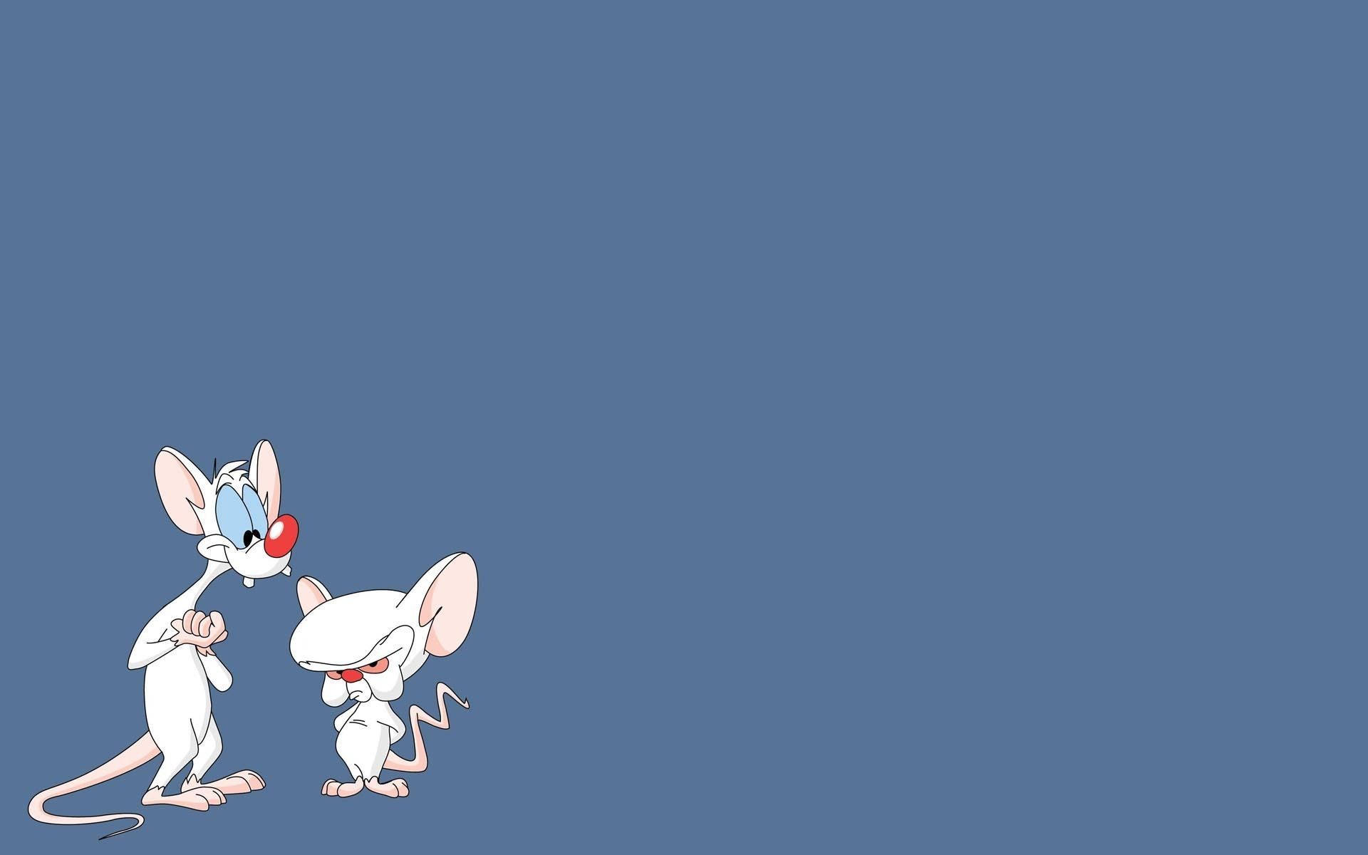 Pinky And The Brain Background