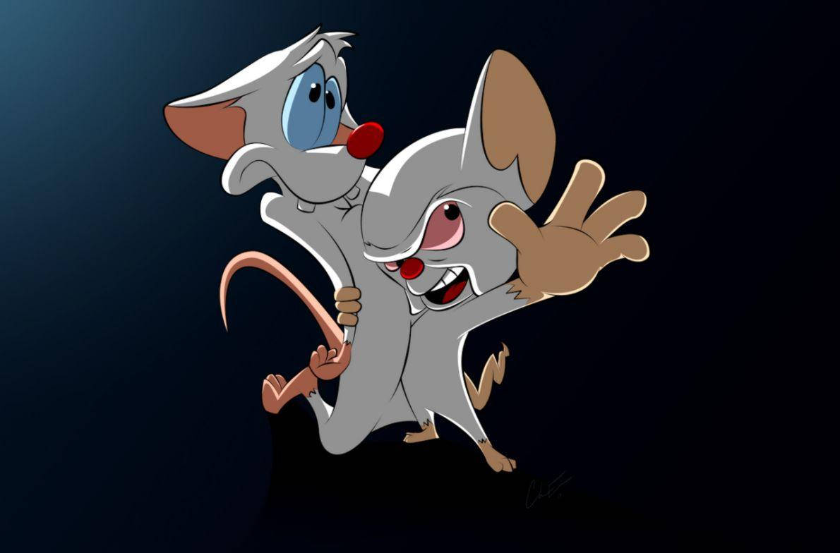 Pinky And The Brain Background