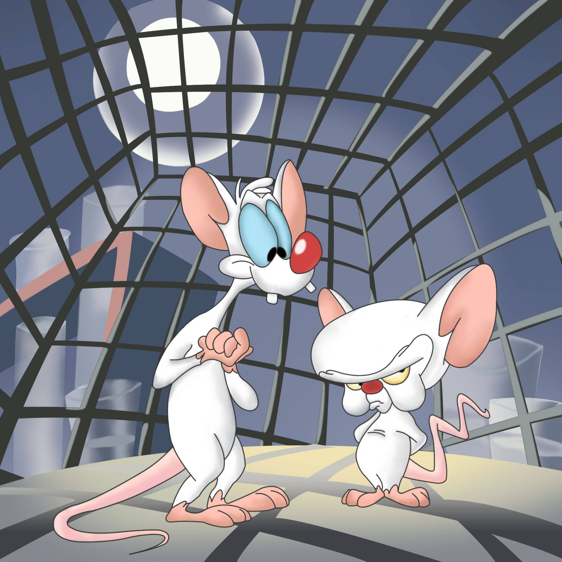 Pinky And The Brain Background