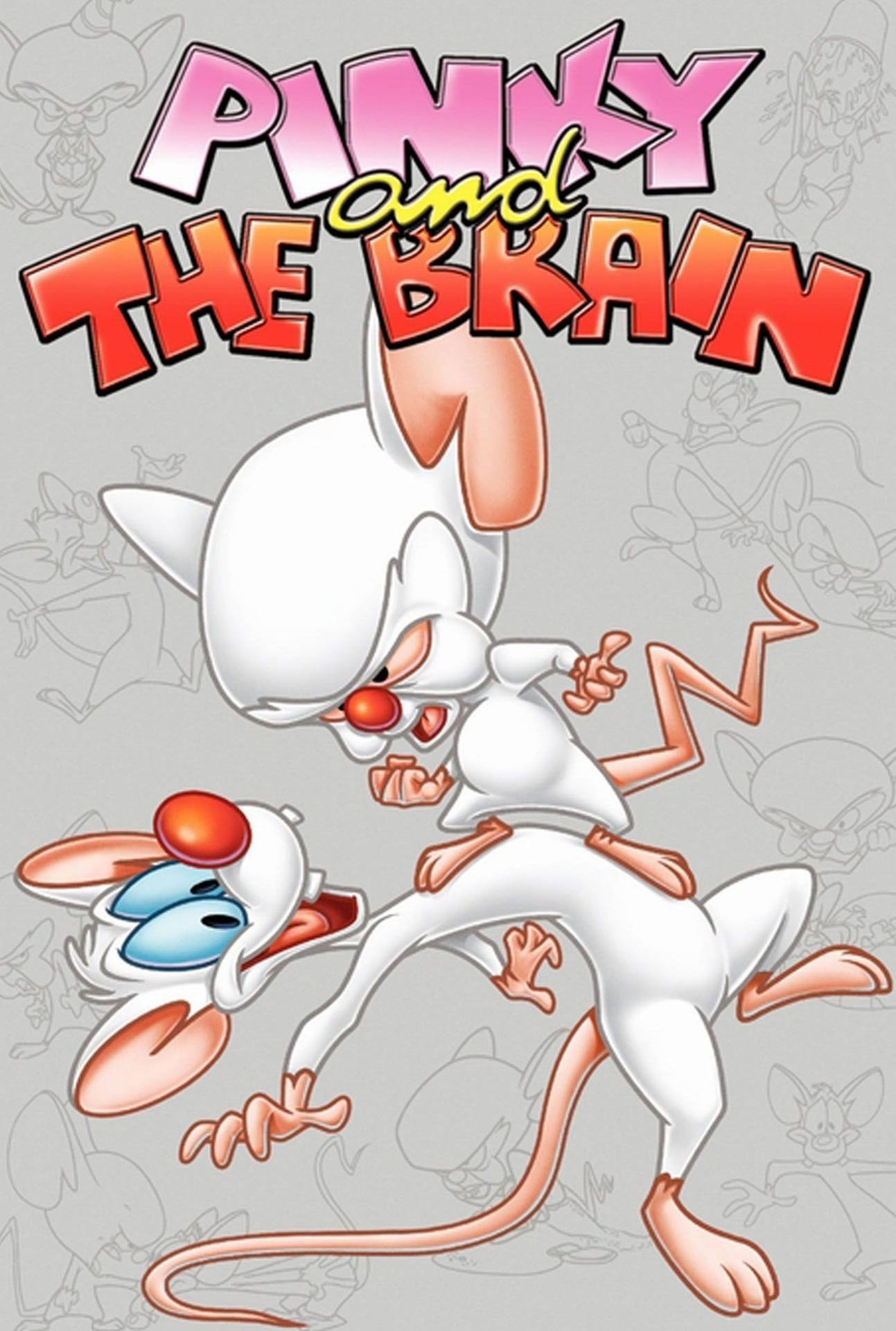 Pinky And The Brain Background