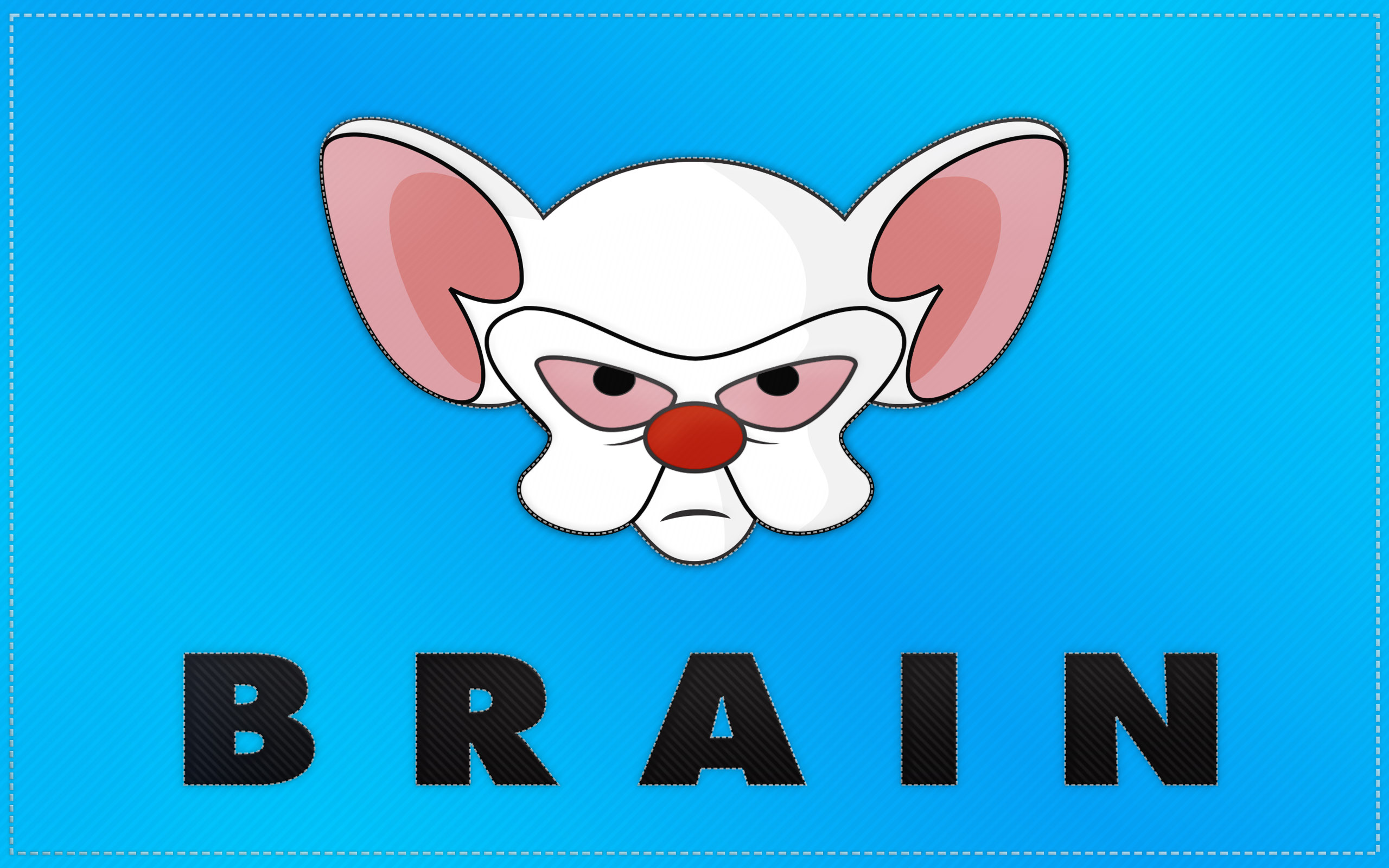 Pinky And The Brain Background